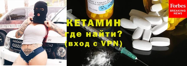 индика Вяземский
