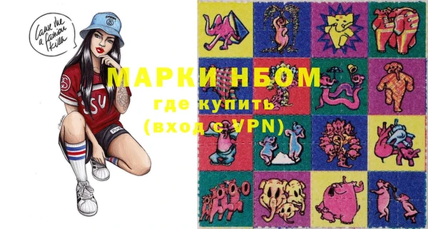 индика Вяземский
