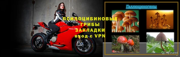 стафф Волоколамск